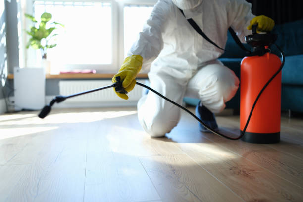 Reliable Sewage Cleanup contractor in Ogden, NC by Trauma Clean Pros